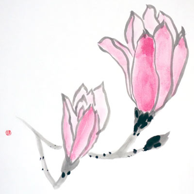Magnolia flowers - on shikishi board